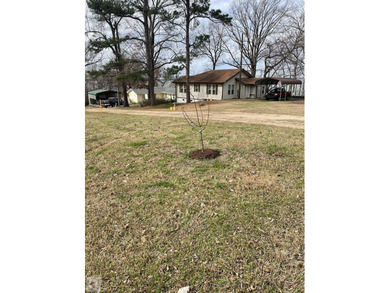 Millwood Lake Home For Sale in Saratoga Arkansas