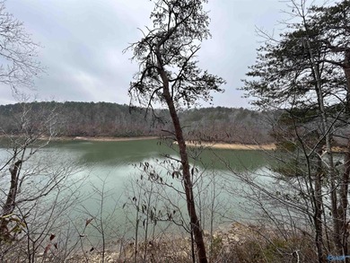 Lewis Smith Lake Lot For Sale in Jasper AL