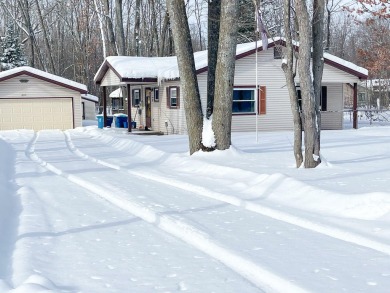 Lake Home For Sale in Roscommon, Michigan