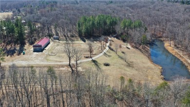 (private lake, pond, creek) Acreage For Sale in New Canton Virginia