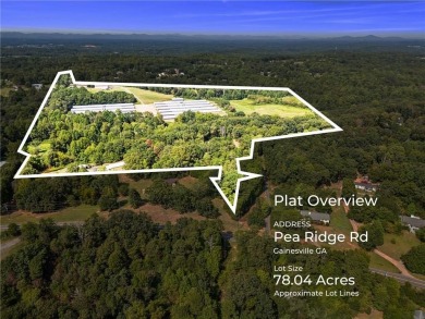 Lake Acreage For Sale in Gainesville, Georgia