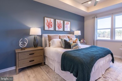 MOVE IN THIS SPRING!! Primary Bedroom on Main Level and Main - photo 7