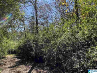 Lake Lot For Sale in Shelby, Alabama