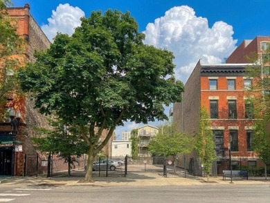 Rare Double or Triple Lot Development Opportunity in the Heart - photo 1
