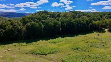 Lake Acreage For Sale in Atkins, Virginia