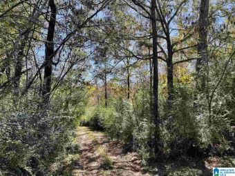 Lake Lot For Sale in Shelby, Alabama