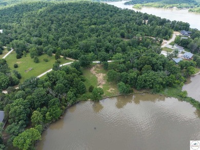 Rare opportunity to own a beautiful waterfront lot with stunning - photo 1