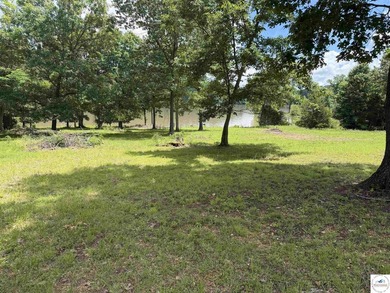 Rare opportunity to own a beautiful waterfront lot with stunning - photo 3