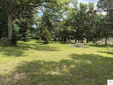 Rare opportunity to own a beautiful waterfront lot with stunning - photo 6