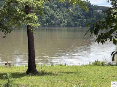 Rare opportunity to own a beautiful waterfront lot with stunning - photo 7