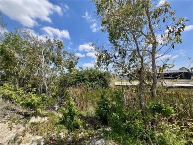 Lake Lot For Sale in Cape Coral, Florida