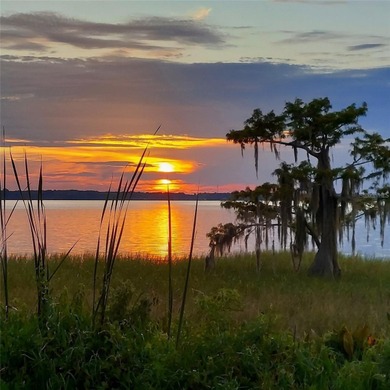 Lake Condo For Sale in Tavares, Florida