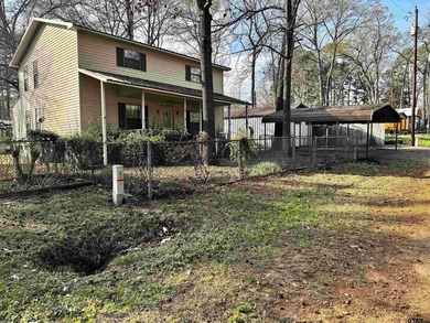Charming property with access to beautiful Lake Cypress Springs - photo 2