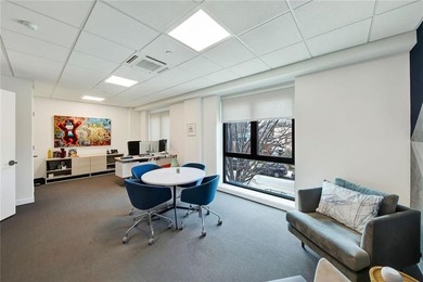 Introducing the breath taking luxury commercial condo for sale - photo 3