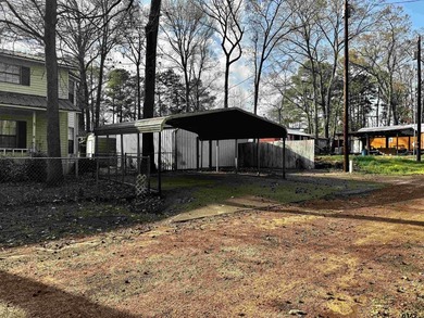 Charming property with access to beautiful Lake Cypress Springs - photo 3