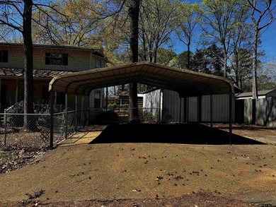 Charming property with access to beautiful Lake Cypress Springs - photo 4