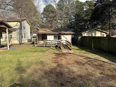 Charming property with access to beautiful Lake Cypress Springs - photo 6