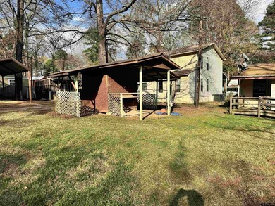 Charming property with access to beautiful Lake Cypress Springs - photo 9