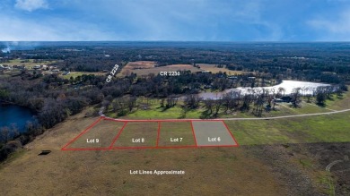 Lake Lot For Sale in Mineola, Texas