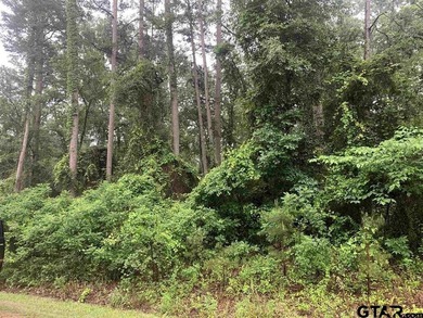 Incredible opportunity in one of Lake Cypress Springs most - photo 2