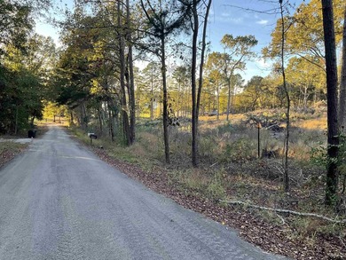 4 additional lots of .8 available, call agent for details - photo 2