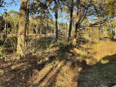 4 additional lots of .8 available, call agent for details - photo 4