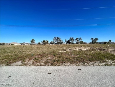 Cape Coral Lakes Area Lot For Sale in Cape Coral Florida
