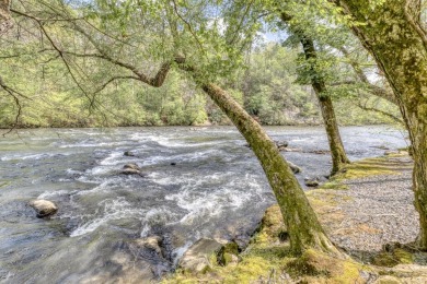 Coosawattee River - Gilmer County Lot For Sale in Ellijay Georgia