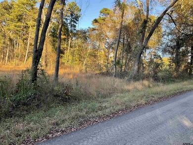 Pleasure Acre Lake Lot For Sale in Tyler Texas