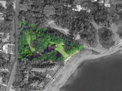 Nestled along the prestigious Bayshore Blvd in South Tampa, this - photo 1