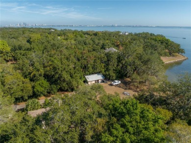 Nestled along the prestigious Bayshore Blvd in South Tampa, this - photo 3