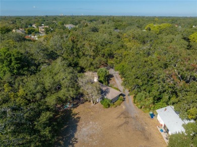 Nestled along the prestigious Bayshore Blvd in South Tampa, this - photo 5