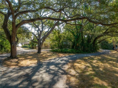 Nestled along the prestigious Bayshore Blvd in South Tampa, this - photo 7