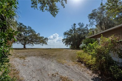 Nestled along the prestigious Bayshore Blvd in South Tampa, this - photo 8