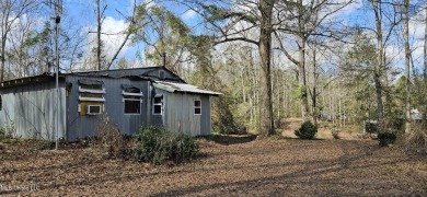 Lake Home For Sale in Poplarville, Mississippi