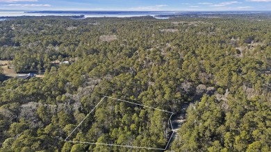 Lake Lot For Sale in Brookeland, Texas
