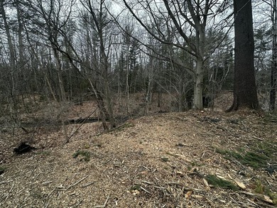 A beautiful lot with a stream and a unique rock bridge in the - photo 11