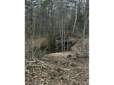 A beautiful lot with a stream and a unique rock bridge in the - photo 15