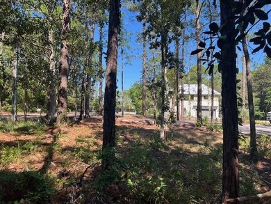 Discover a large exceptional building lot located on West Hewett - photo 18