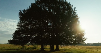 PRICE REDUCTION!! Incredibly easy access to 344 acres of - photo 4