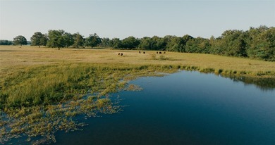 PRICE REDUCTION!! Incredibly easy access to 344 acres of - photo 7