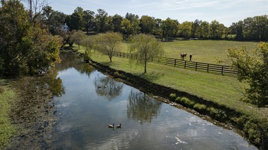 One of the most desirable properties I've ever had the privilege - photo 39