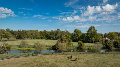 One of the most desirable properties I've ever had the privilege - photo 40