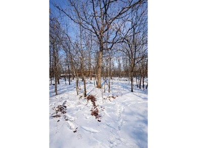 Price reduced. Own land near Fort Gibson Lake for just $1,500 - photo 2