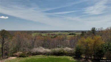 This 1.44 acre lot has the best views in the Hamptons - photo 2