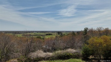 This 1.44 acre lot has the best views in the Hamptons - photo 3