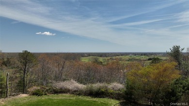 This 1.44 acre lot has the best views in the Hamptons - photo 4