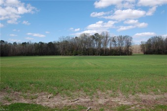 (private lake, pond, creek) Acreage For Sale in Windsor Virginia