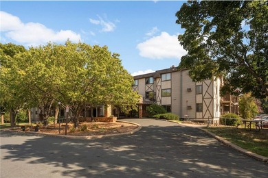 Medicine Lake Condo For Sale in Plymouth Minnesota