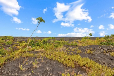 Improved Lots, Sold Together for this Price, in Kalapana Gardens - photo 11